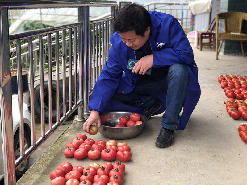一心向农,只为这粒科技的“种” 一心向农,只为这粒科技的“种”