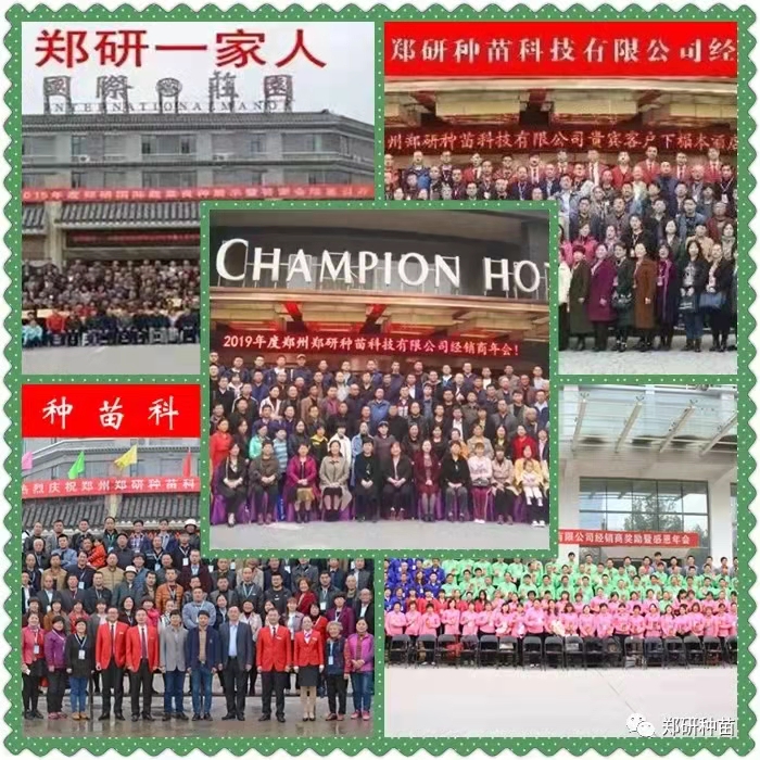 fef182cbf7c7b1a8bc26b2a081980e2.jpg