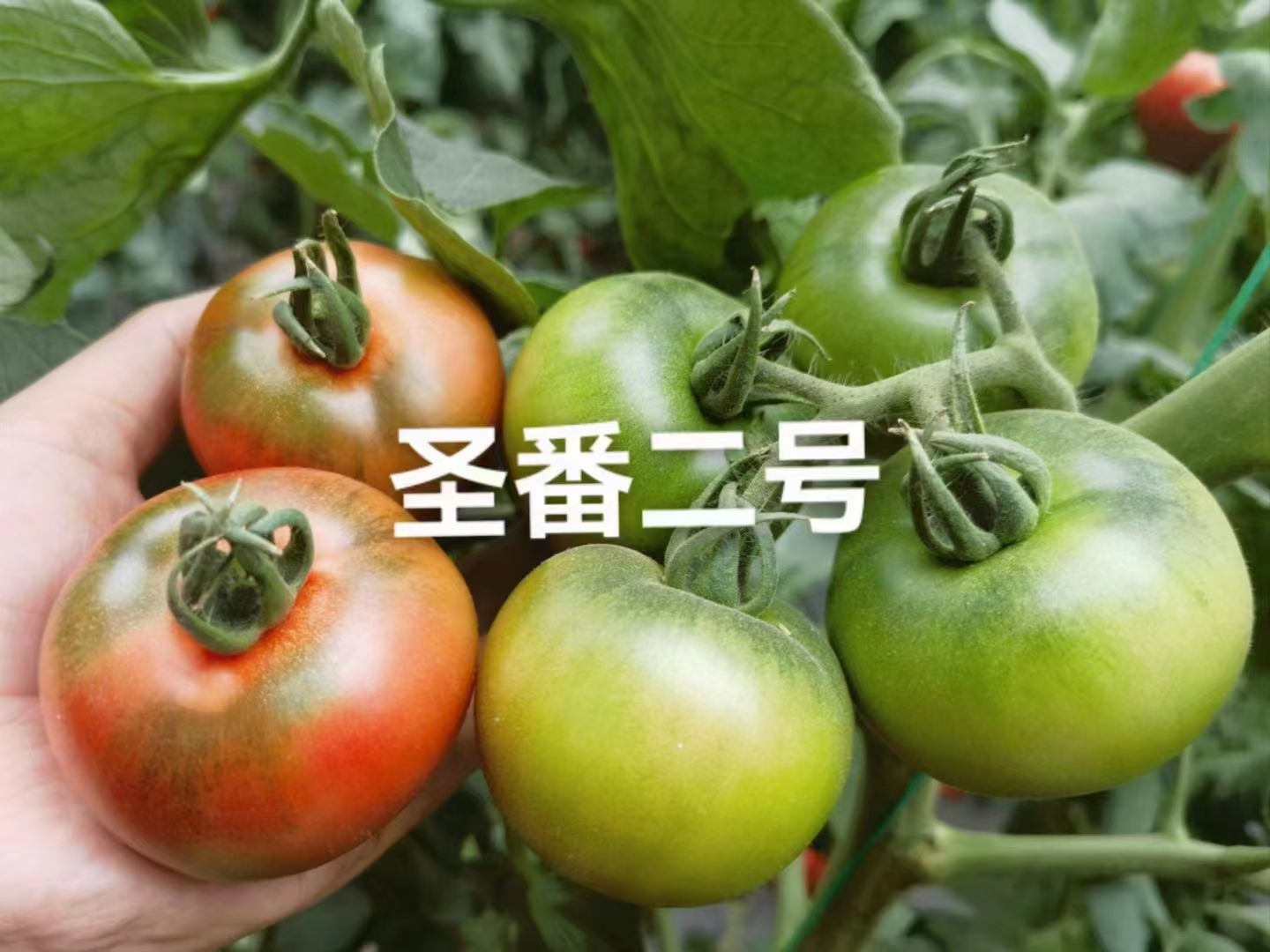 微信图片_20230427164643.jpg