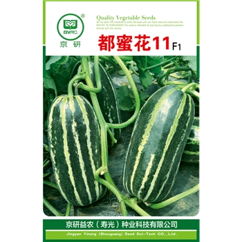 都蜜花11