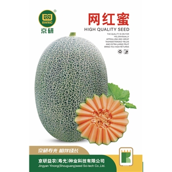 网红蜜