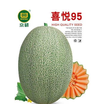 喜悦95