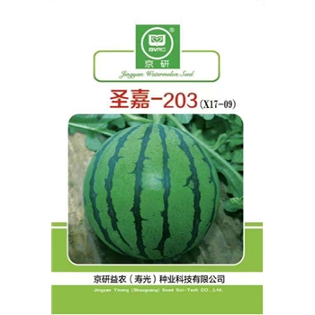 圣嘉-203
