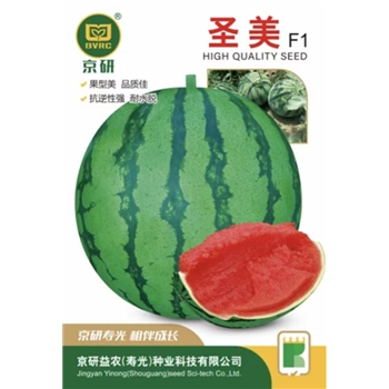 圣美