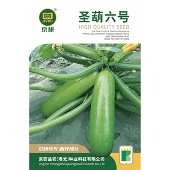 圣葫六号