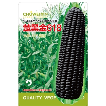 楚黑金618