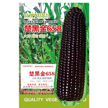 楚黑金658