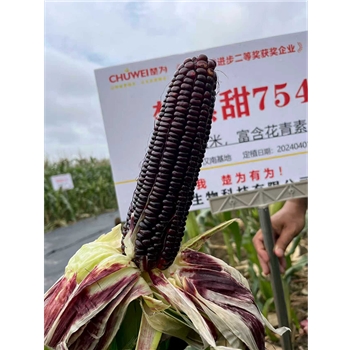 楚黑甜754