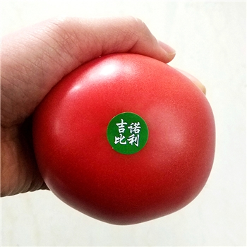 吉诺比利