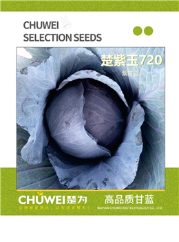 楚紫玉720