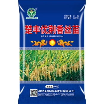 楚丰优荆香丝苗