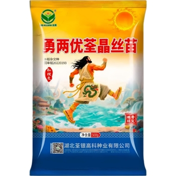 勇两优荃晶丝苗