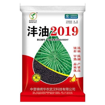 沣油2019