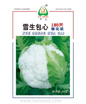 【南方蔬菜】【南方蔬菜】雪生180天花椰菜 -花椰菜种子