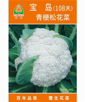 【南方蔬菜】宝岛松花菜108天