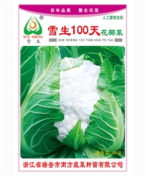 【南方蔬菜】雪生100天花椰菜