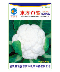 东方白雪75天花椰菜