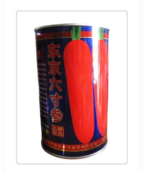 【郑研种苗】东京六寸参——胡萝卜种子