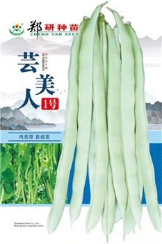 芸美人1号