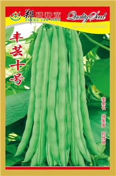 丰芸十号