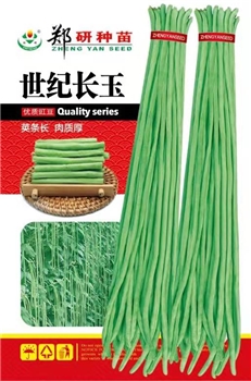 世纪长玉