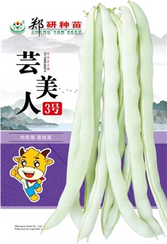芸美人3号
