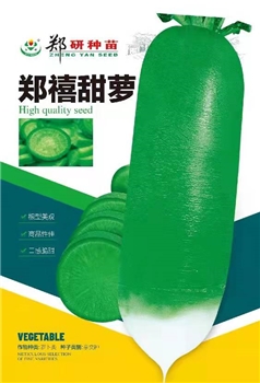 郑禧甜萝
