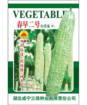 春早二号白苦瓜