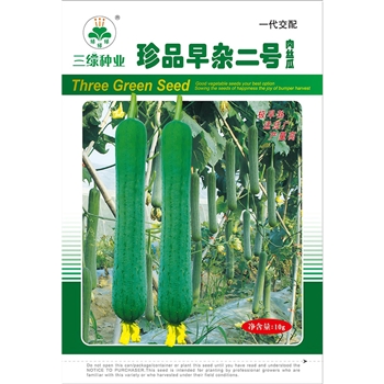 珍品早杂二号肉丝瓜