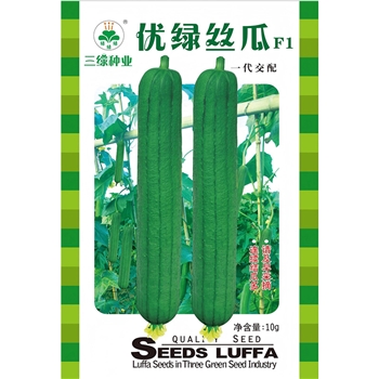 优绿丝瓜