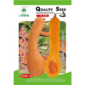 三绿黄狼南瓜