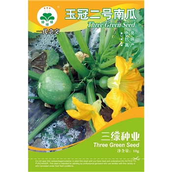 玉冠二号南瓜