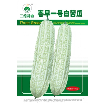 春早一号白苦瓜