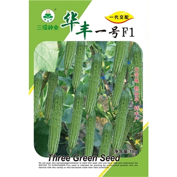 华丰一号黄瓜