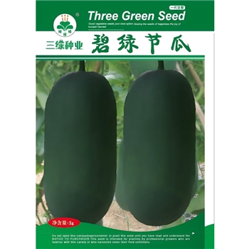 碧绿节瓜