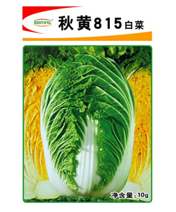 【百欧通】秋黄815
