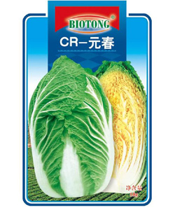 【百欧通】CR-元春