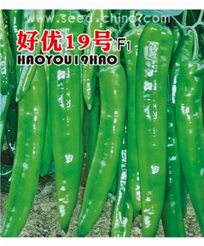 【好特园艺】好优19号