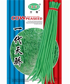 一代天骄