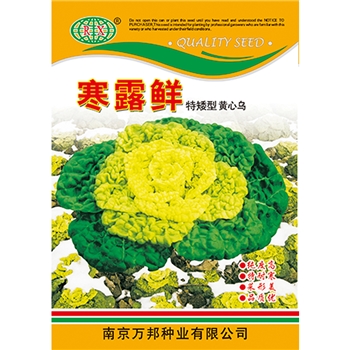 寒露鲜