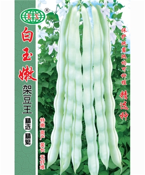 白玉嫩架豆王