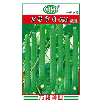 万帮宁香406丝瓜