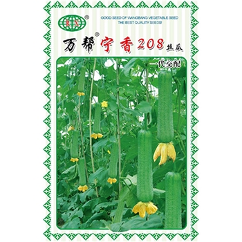 万帮宁香208丝瓜