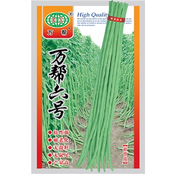 万帮六号