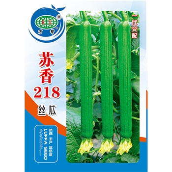 苏香218丝瓜