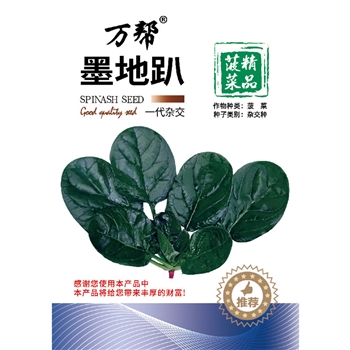 墨地趴
