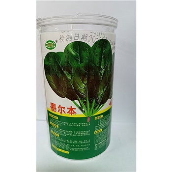 墨尔本