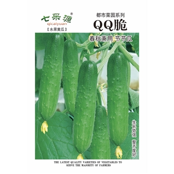 QQ脆