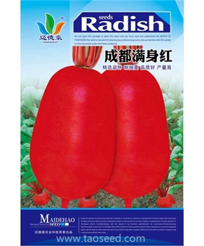  成都满身红