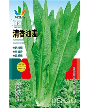  清香油麦